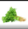 帶根香菜100g 曬單實(shí)拍圖