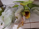 新鮮現(xiàn)摘當(dāng)季綠色蔬菜苦瓜涼瓜清脆爽口青皮涼拌瓜山東新鮮苦瓜 現(xiàn)摘現(xiàn)發(fā)新鮮苦瓜 5斤 曬單實拍圖