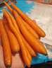 貝蓓芯貝甜水果胡蘿卜生吃脆甜低脂輕食蔬菜沙拉零食整根裝【新鮮上市】 貝甜水果胡蘿卜 貝甜水果胡蘿卜*4袋 曬單實(shí)拍圖