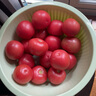 寧夏沙瓤西紅柿自然成熟老品種生吃當(dāng)季農(nóng)家自種蔬菜番茄 沙瓤西紅柿 5斤 曬單實拍圖