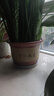 美外花盆陶瓷花盆紫砂花盆落地盆陶土粗陶花盆 口徑32（1個(gè)盆）含托盤(pán) 曬單實(shí)拍圖