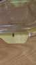 樂(lè )扣樂(lè )扣（LOCK&LOCK）TOPCLASS耐熱玻璃可冷凍可微波可烤箱保鮮盒飯盒收納盒 LBG205MIT-綠色- 300ml 單件裝 曬單實(shí)拍圖