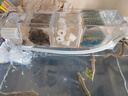 寵小帥魚缸過濾器三合一壁掛式水族箱增氧過濾增氧盒生態(tài)造景循環(huán)凈水器 【四格】過濾倉 (適用40-50cm魚缸) 曬單實拍圖