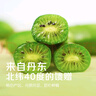 京覓丹東軟棗獼猴桃  凈重3斤 單果15g以上  新鮮水果 源頭直發(fā) 曬單實拍圖