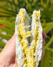 滇品客農(nóng)科院青稞餅云南特產(chǎn)青稞小米餅藜麥小黃米粑粑五黑粗糧早餐代餐 青稞黃米餅 306克x1袋（共6枚） 曬單實(shí)拍圖