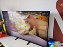 索尼（SONY）2025新品 X90L升級(jí)款 55英寸 索尼電視5系 MiniLED XR芯片 K-55XR50 二級(jí)能效 國(guó)家補(bǔ)貼 曬單實(shí)拍圖
