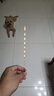 三老頭高靈敏LED硬尾夜光漂316高亮醒目日夜兩用電子漂鯽魚(yú)漂細尾浮漂 C-01羅非鯽鯉 7目亮 鉛2.0g LED日夜兩用夜光漂【不變色】 曬單實(shí)拍圖