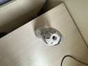潔碧（Waterpik）電動(dòng)沖牙器家用立式清潔口腔洗牙器潔牙器去牙結(jié)石實(shí)用手持防水小蠻腰GS9L禮物牙齒沖洗器 曬單實(shí)拍圖
