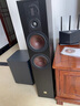 達尼（DALI） OPTICON6 MKII歐典6mk2 丹麥進口hifi高保真落地音箱 2聲道無源音響 歐尼士RA125+歐典6MK2(備注顏色) 曬單實拍圖