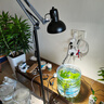 光聯(lián)天下全光譜植物生長燈綠植盆栽花卉補(bǔ)光燈魚缸爆藻射燈E27螺口落地?zé)?30W落地補(bǔ)光燈-全光譜5000K-48° 曬單實(shí)拍圖