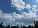 絲塔芙大白罐 保濕霜 潤膚霜 身體乳補(bǔ)水滋養(yǎng) 敏感肌可用 不含煙酰胺 大白罐453g 曬單實(shí)拍圖