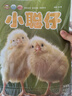 2025年小聰仔科普版4-6月第二季度雜志期刊打包發(fā)出共3期 2~8歲幼兒興趣智力培養兒童科普期刊 曬單實(shí)拍圖