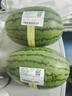 吊秧小西瓜 約1.5kg 曬單實(shí)拍圖