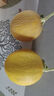 京鮮生 哈密瓜西州蜜25號 凈重6-7斤2-3粒裝 源頭直發(fā)包郵 曬單實拍圖