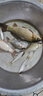 佳釣?zāi)崤谂_支架魚竿支架大物超輕加硬碳素臺釣競技釣魚釣箱架桿無地插27 曬單實拍圖