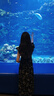 秋水伊人優(yōu)雅氣質(zhì)V領(lǐng)碎花裙2025年夏季新款女百搭荷葉邊袖連衣裙 黑色 M 曬單實拍圖