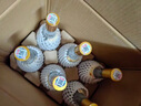 汾酒 黃蓋玻汾 清香型白酒 53度 475mL*6瓶 整箱裝非原箱 曬單實(shí)拍圖