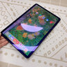 HUNTHI平板電腦2025新款iPadPro全網(wǎng)通5GWiFi二合一4K高清全面屏十核16G120hz高刷游戲辦公學(xué)習網(wǎng)課ipad 深灰色 旗艦版16G+256G+豪華禮包 曬單實(shí)拍圖