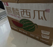 京鮮生 無籽麒麟西瓜 1粒凈重7-8斤 水果 源頭直發(fā) 曬單實(shí)拍圖