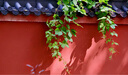 富士（FUJIFILM）XC 50-230mm F4.5-6.7 二代 微單鏡頭 人像風景遠攝長焦變焦鏡頭 微單鏡頭  七夕送禮好物 曬單實拍圖
