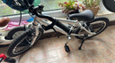 譜瑞瑪（PRIMA RIDER）運動(dòng)款16寸兒童自行車(chē)腳踏車(chē)單車(chē)男女孩超輕3-8歲普瑞瑪自行車(chē) 曬單實(shí)拍圖