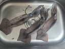 美加佳 鮮凍整只大魷魚（2-3只） 凈重550g 整條魷魚 深海捕撈 海鮮水產(chǎn) 曬單實拍圖