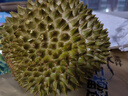 市舶士馬來(lái)西亞貓山王榴蓮D197整果自然樹(shù)熟液氮冷凍榴蓮肉進(jìn)口水果送禮 【保底5房】A級(jí)精品 3.1-3.5斤 曬單實(shí)拍圖
