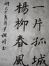 玉水湖清風(fēng)兼毫毛筆書法初學(xué)者入門專用套裝學(xué)生筆練兼豪大中小楷尖毫國(guó)畫兒童練字筆歐體楷書行書毛筆字 新清風(fēng)兼毫中【出鋒4.5口徑1.0】 楷書 曬單實(shí)拍圖