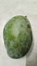 【新鮮當季新鮮】金煌芒大青芒芒果 帶箱4斤【單果250g+】 曬單實拍圖
