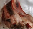 沃典 國產(chǎn)谷飼黃牛原切牛肋排段 凈重4斤 牛肉生鮮燉煮牛排骨源頭直發(fā) 曬單實(shí)拍圖