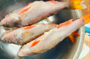 新疆發(fā)貨新疆阿勒泰福海冷水魚(yú)五道黑河鱸魚(yú)實(shí)際稱(chēng)重去鱗去內臟 五道黑4斤（5-6條裝*2袋）紅燒 曬單實(shí)拍圖