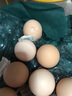 【無抗】大碼鮮雞蛋1.8kg 曬單實拍圖