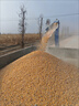 錦夏小麥新款玉米水稻大豆吸糧機(jī)車(chē)曬場(chǎng)馬路收糧收裝車(chē)糧食高炮自動(dòng) 整機(jī)高3.7米+192柴油電啟發(fā)動(dòng)機(jī) 曬單實(shí)拍圖