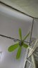 中聯(lián)小吊扇USB可調速變速微風(fēng)宿舍蚊帳床上家用安靜無(wú)噪音電風(fēng)扇大風(fēng)力遙控定時(shí)變速遙控多檔調風(fēng) 調速吊扇+適配器+2米開(kāi)關(guān)延長(cháng)線(xiàn) 曬單實(shí)拍圖