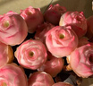 京厽山地玫瑰多肉植物盆栽名貴精選水蜜桃花卉綠植陽(yáng)臺室內不支持退貨 -高品質(zhì)玫瑰-水蜜桃1顆3cm 不含盆 曬單實(shí)拍圖