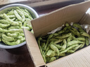 【順豐發(fā)貨】東北油豆角農(nóng)家新鮮蔬菜九月青開(kāi)鍋爛寬面油豆角 2500g【順豐快遞】 曬單實(shí)拍圖