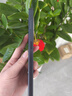 EMOLX7Pro2025新款超薄5G手機(jī)wifi電競(jìng)7.1英寸大屏全網(wǎng)通百元機(jī)便宜老人備用新機(jī)學(xué)生機(jī)長(zhǎng)續(xù)航智能手機(jī) 寒武黑 【原裝未拆封】12G+256G 曬單實(shí)拍圖