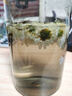 白菊花500g黃山貢菊花散裝菊花茶另售杭白菊胎菊花茶組合菊花茶 貢菊花【2罐】共200克 優(yōu)質(zhì) 曬單實(shí)拍圖