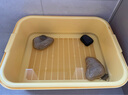 寵小帥生態(tài)烏龜缸雙層濾水綠植造景魚(yú)龜混養缸客廳水族箱底濾龜缸爬寵箱 黃色【47*36*15】雙層濾水缸 曬單實(shí)拍圖
