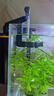 AMTRA TECHNIK德國安彩壁掛過(guò)濾器ex350小型魚(yú)缸過(guò)濾器烏龜缸壁掛式凈水 EX350 標準版【內含濾材】 曬單實(shí)拍圖