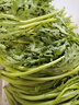 北菜園有機(jī)蒿子稈茼蒿250g新鮮有機(jī)蔬菜【進(jìn)店多樣加購(gòu)】火鍋涮菜 曬單實(shí)拍圖