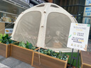 COODY軍鑫戶(hù)外露營(yíng)帳篷星空球型充氣式帳TPU觀(guān)景5-8人營(yíng)地拓展棉布帳篷 米黃色球帳 5*5 曬單實(shí)拍圖