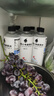 外星人電解質水0糖0卡飲料 荔枝海鹽口味 300mL*12瓶 整箱裝 曬單實拍圖