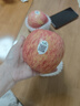 廣興果園君恬果園煙臺棲霞紅富士蘋果山東特產(chǎn)節(jié)日水果禮盒禮品 鑒賞級8顆裝（92mm） 曬單實拍圖