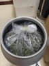 樂宏駿茶葉罐鋁罐密封防潮特大號五斤福鼎白毫銀針白牡丹陳皮儲存罐茶桶 鋁罐鋁蓋A款 15L 曬單實拍圖