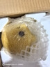 畝家田正宗安徽碭山梨子應(yīng)季現(xiàn)摘脆甜酥雪梨梨湯山梨水果梨年貨整箱 【實(shí)惠中果】5斤【單果250g+】 曬單實(shí)拍圖