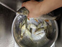 漢鼎主線組成品釣魚線組鯽魚釣魚線通用 綜合線組1.0#/4.5米2卷  曬單實拍圖