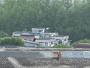 頂峰保羅（Dingfengbaoluo）休閑套裝夏季短袖短褲薄款寬松透氣運(yùn)動(dòng)男士套裝TZ054黑色XL 曬單實(shí)拍圖