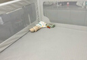 鱈魚爸爸床圍欄寶寶防摔床護(hù)欄嬰兒童大床防掉床擋板定制通用 經(jīng)典- 三面裝 /花色備注 1.8M*2.0M 曬單實(shí)拍圖