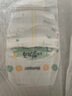 好奇（Huggies）【新品】小森林pro深睡大師紙尿褲NB60(5kg以下)尿不濕夏季超薄 曬單實拍圖